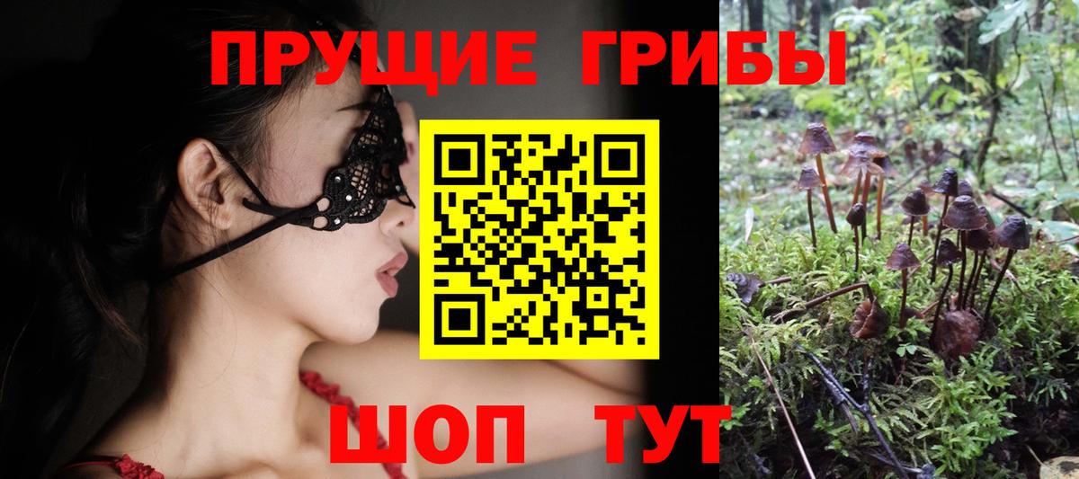 Галлюциногенные грибы GOLDEN TEACHER Усть-Лабинск