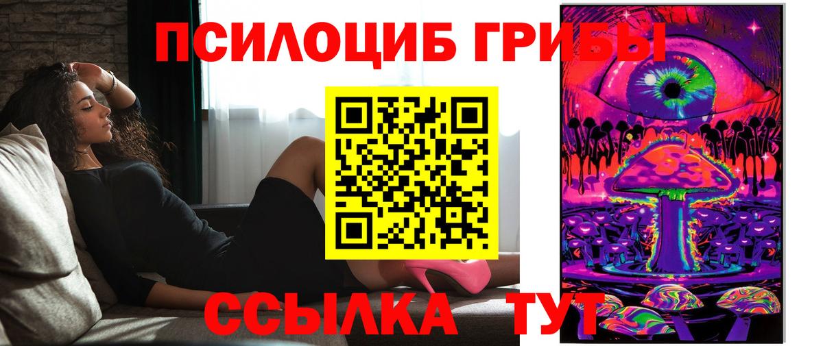 Усть-Лабинск  Псилоцибиновые грибы Psilocybine cubensis  Вход с VPN 